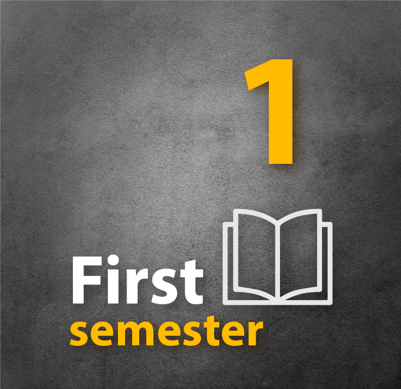 الفصل الأول